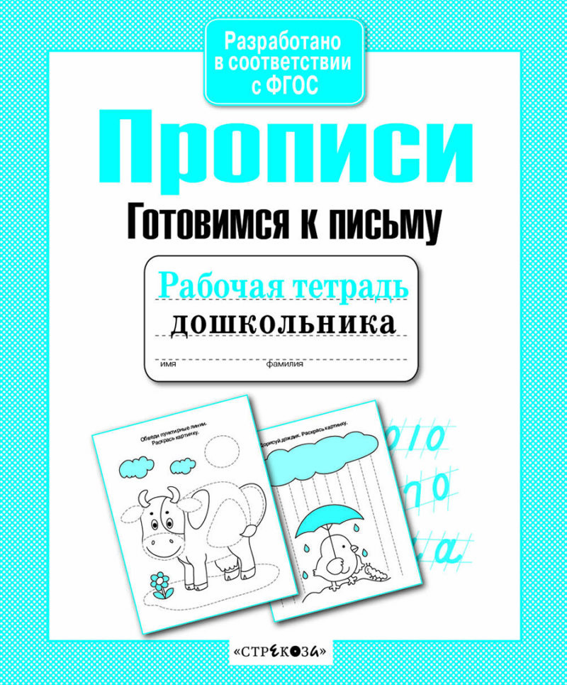 Прописи Рабочая тетрадь дошкольника Готовимся к письму 7033