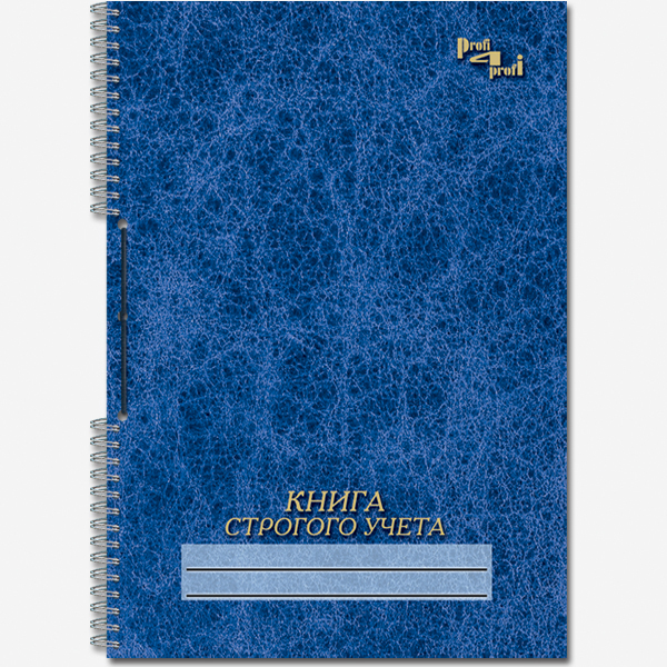 Книга строгого учета с перфорацией и шнуровкой 50 л А4 13с20-50